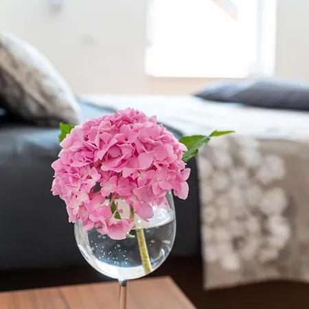 Sobe In Apartmaji Bama