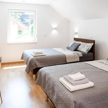 Sobe In Apartmaji Bama 3* Litija