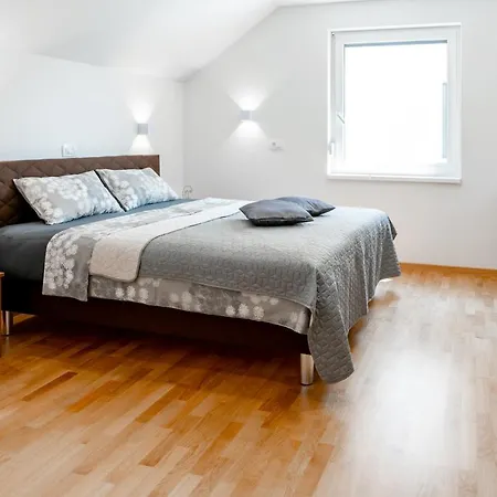 Sobe In Apartmaji Bama Litija