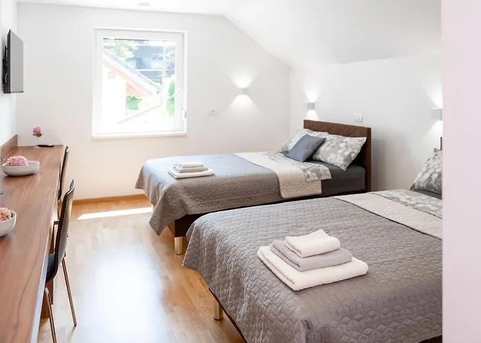 Sobe In Apartmaji Bama 3* Litija