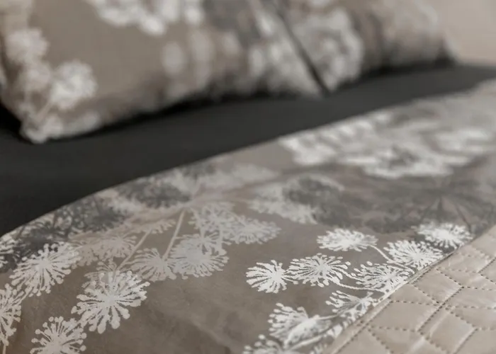 ベッド・アンド・ブレックファスト Sobe In Apartmaji Bama