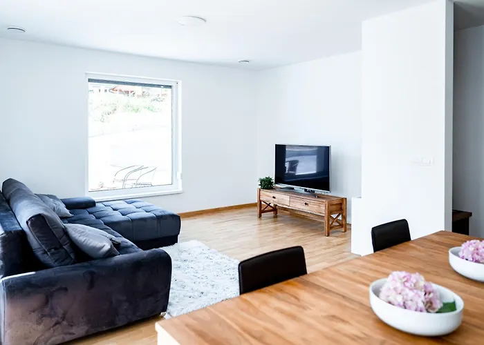 Sobe In Apartmaji Bama Litija